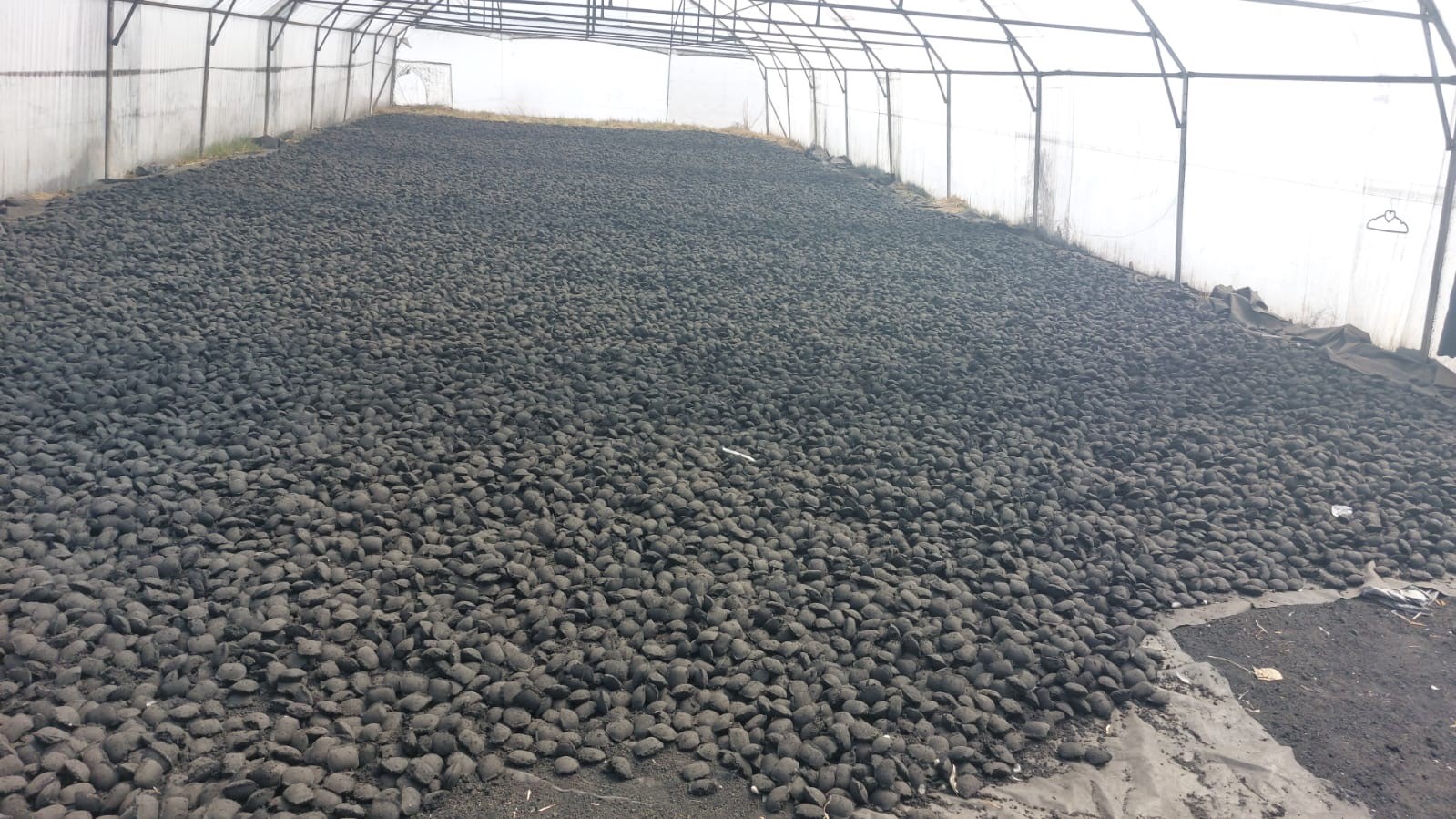 Complete briquette production system converting biomass waste into valuable fuel briquettes thumbnail 9