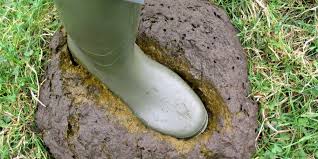 Commercial Composting Solutions thumbnail 2